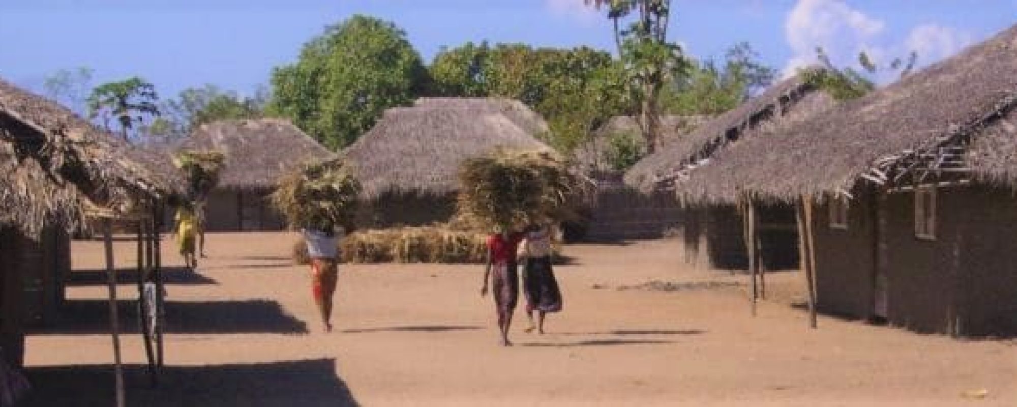 Village life Village life